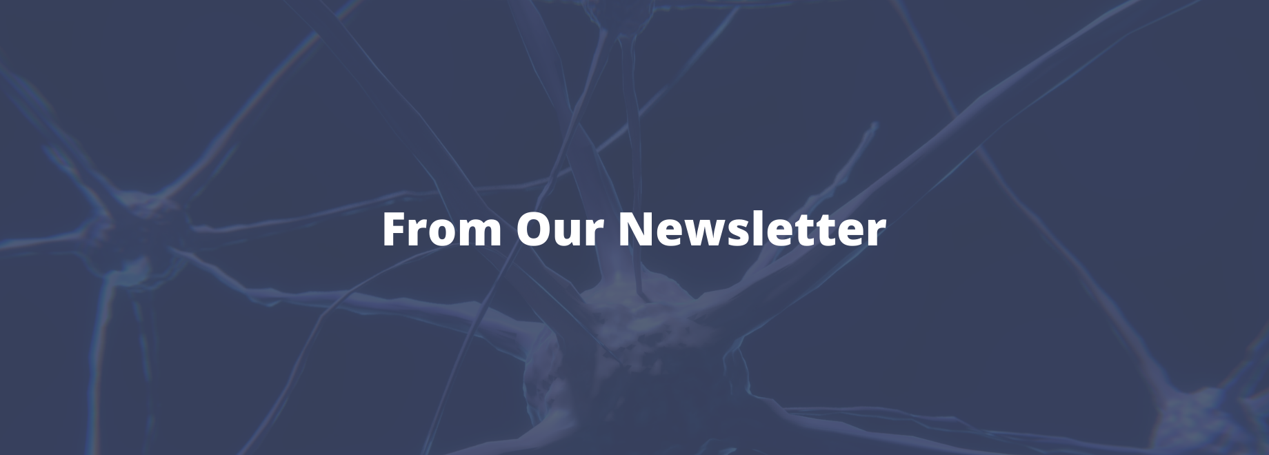 Cover Image for Upcoming Talks on NF
